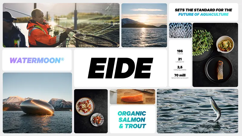 Eksempel på bento-grid
